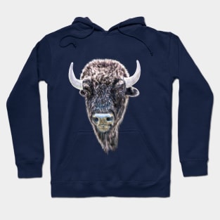 Buffalo Head Portrait Hoodie